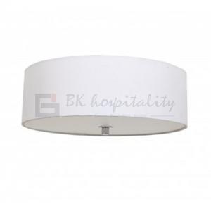 Ceiling Light Fixture