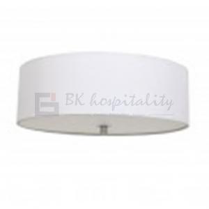 Ceiling Light Fixture