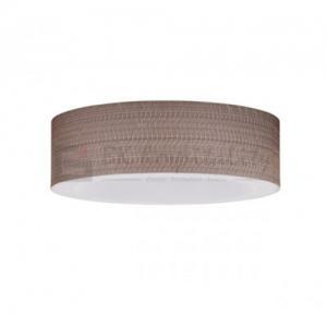 Ceiling Light Fixture